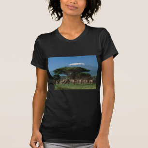 Elphants of Mt.Kilimanjaro T-Shirt