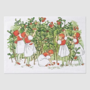Elsa Beskow Cute Strawberry Girl  Tissue Paper