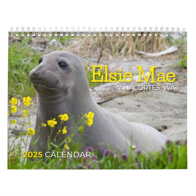 ELSIE MAE 2025 - TUGBOAT PARK - SKYLINE ANACORTES CALENDAR (Cover)