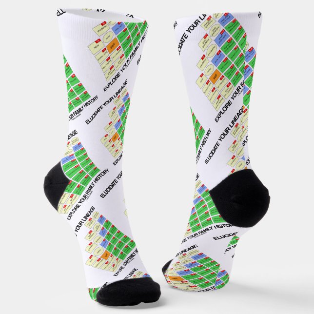 Elucidate Your Lineage Explore Your Family History Socks (Angled)