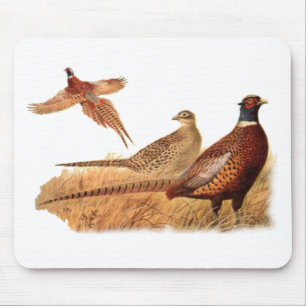 Elusive Pheasant Bird Hunting Mouse Mat