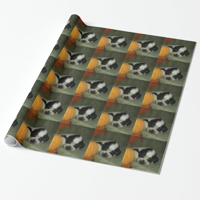 ELVIS , Blue roan &tan american cocker spaniel pup Wrapping Paper (Unrolled)