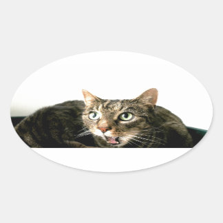 Elvis Oval Sticker