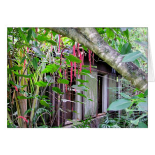 Elvis Presley Bungalow