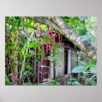 Elvis Presley Bungalow