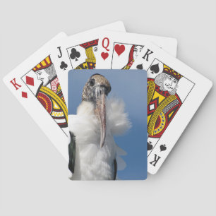 Elvis - Wood Stork - Playing Cards