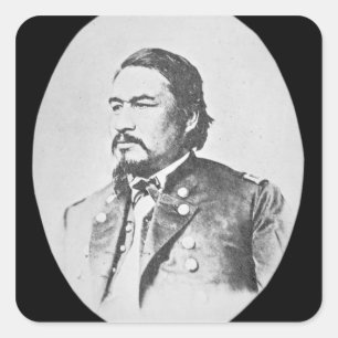 Ely Samuel Parker (1828-95) Seneca Chief and Feder Square Sticker