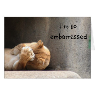 Embarrassed lioness
