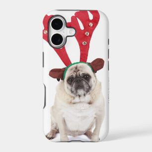 Embarrassed looking Pug wearing Reindeer Antlers
