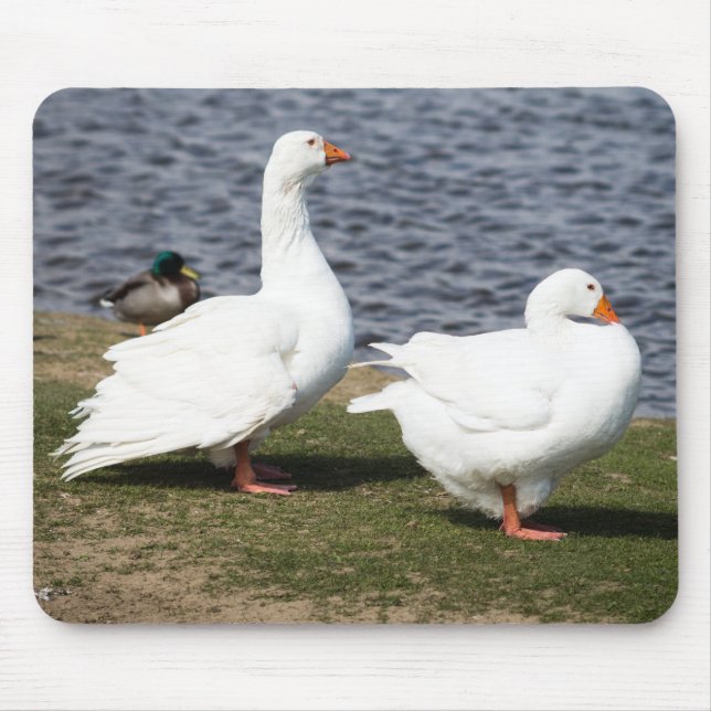 Embden Geese Mouse Mat (Front)
