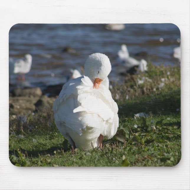 Embden Goose Mouse Mat (Front)