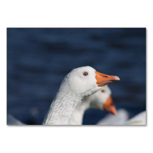 Embden Goose Table Number