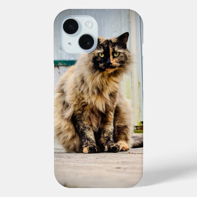 Ember iPhone 15 case (Back)