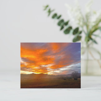 Ember Sky Postcard