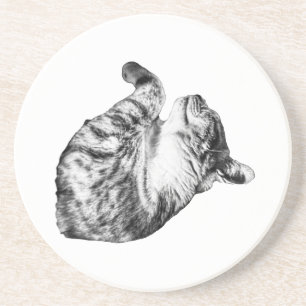 Ember-Step Purr Coaster