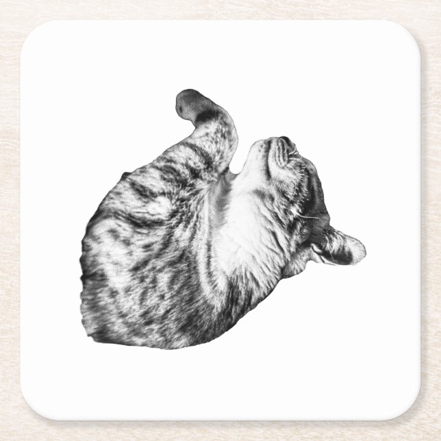Ember-Step Purr Square Paper Coaster (Front)