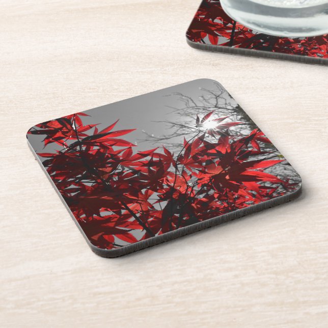 Embers of Autumn Coaster (Left Side)