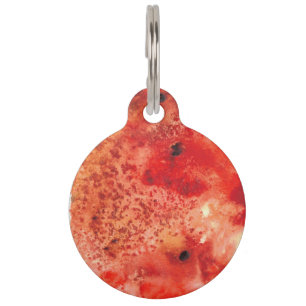 Embers Unfolding Pet Tag