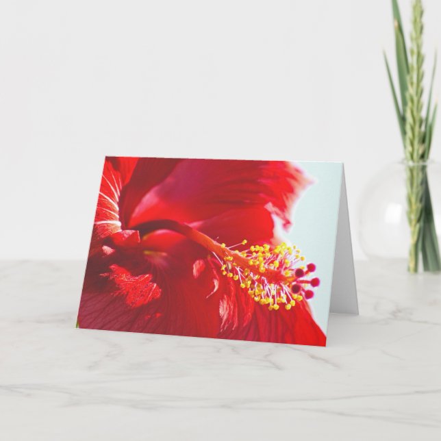 Embossed Red Hibiscus, Flame Card (Front)