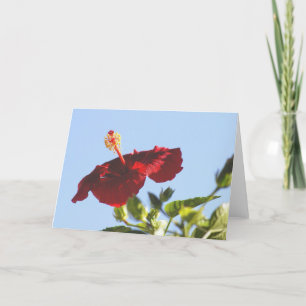 Embossed Red Hibiscus, Sunlight Flame Card