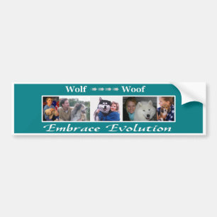 Embrace Evolution Bumper Sticker