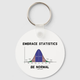 Embrace Statistics Be Normal (Bell Curve) Key Ring