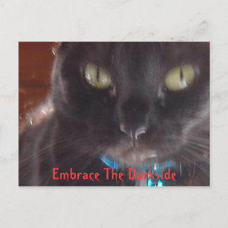 Embrace The Darkside Postcard