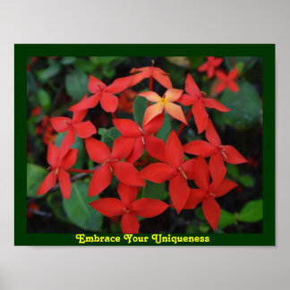 Embrace Your Uniqueness Poster