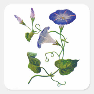 Embroidered Blue Morning Glories Square Sticker