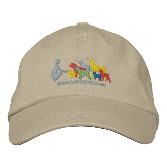 Embroidered Colour Logo Hat (Front)