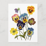 Embroidered Parade of Pansies Postcard<br><div class="desc">Embroidered Parade of Pansies</div>