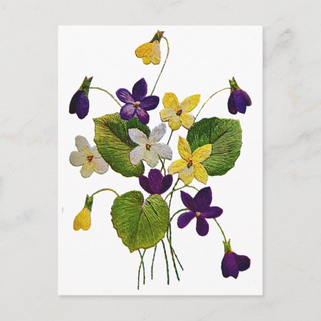 Embroidered White, Yellow and Purple Violets Postcard (Front)