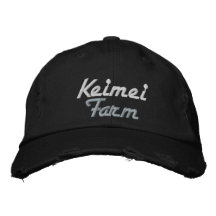 EMBROIDERY-CONTAINING CAP