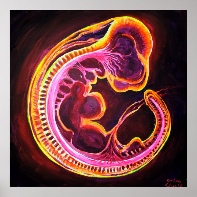 Embryo Poster (Front)