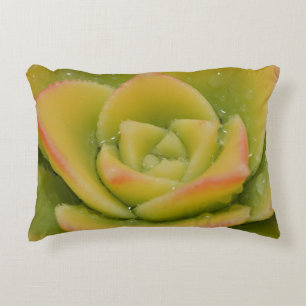 Emerald Bloom Nature Succulent Photo Art Decorative Cushion
