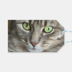 Emerald Eyes – Portrait of a Green-Eyed Cat Gift Tags