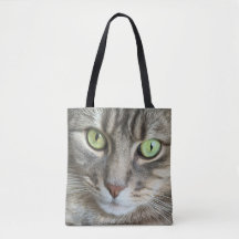 Emerald Eyes – Portrait of a Green-Eyed Cat