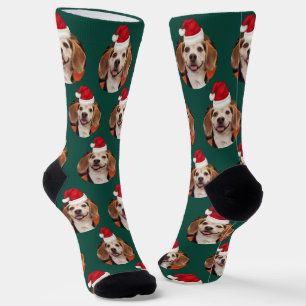 Emerald Green Pet Photo & Santa Hats on Head  Socks