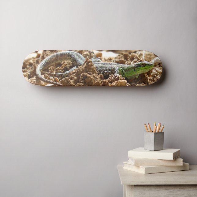 Emerald lizard Salamander in the earth    Skateboard (Wall Art (Horz))