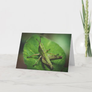 Emerald Majesty: An Elegant Grasshopper Card