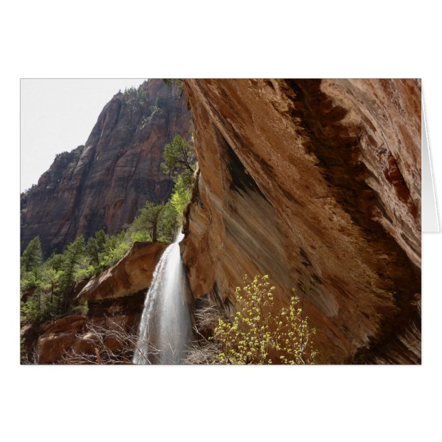 Emerald Pool Falls III from Zion National Park (Front Horizontal)