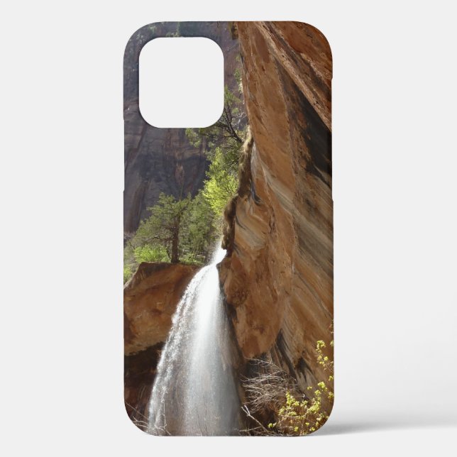 Emerald Pool Falls III from Zion National Park Case-Mate iPhone Case (Back)