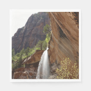 Emerald Pool Falls III from Zion National Park Napkin