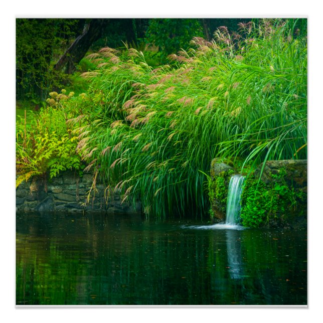 Emerald Stillness by the Garden Falls Poster (Front)