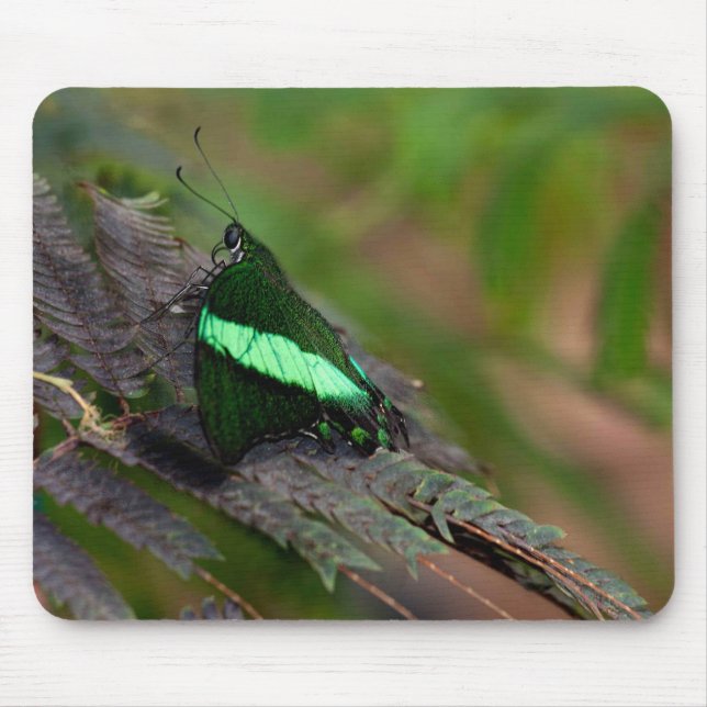 Emerald Swallowtail Mouse Mat (Front)