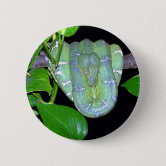 Emerald Tree Boa-Morticia Button