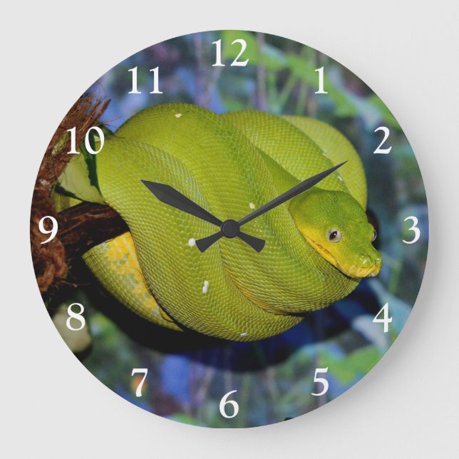 Emerald Tree Boa Snake Large Clock (Front)