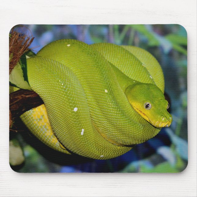 Emerald Tree Boa Snake Mouse Mat (Front)