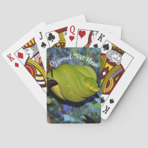 Emerald Tree Boa Snake Playing Cards