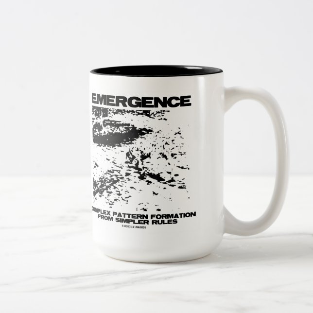Emergence Complex Pattern Formation From Simpler Two-Tone Coffee Mug (Right)